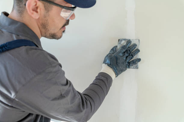 Best Drywall Sanding and Smoothing  in Athens, IL